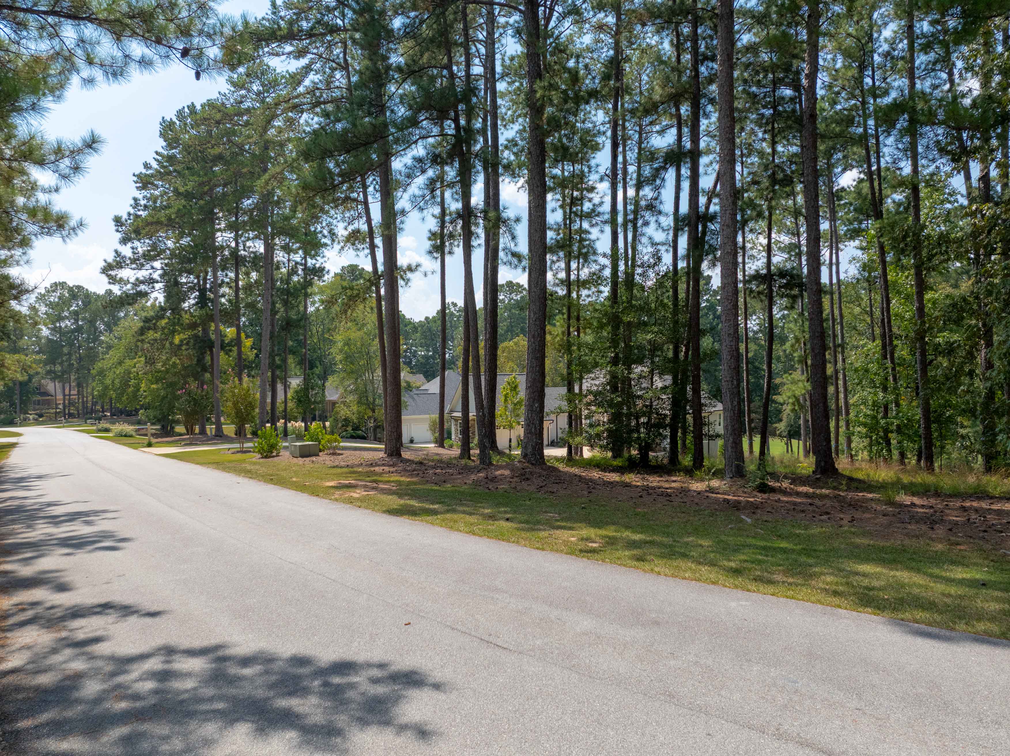 1011 Kimbrough Hill Drive image 3